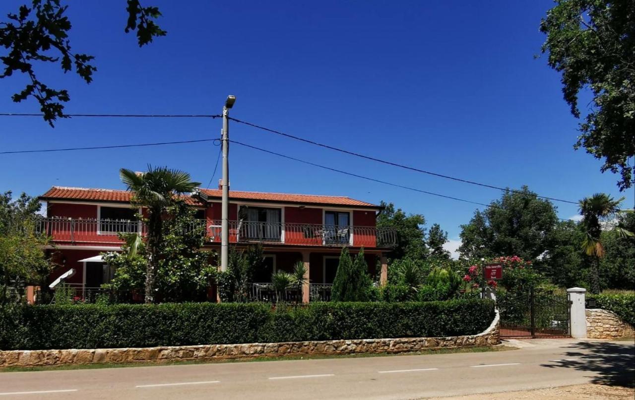 Apartments Villa Amaryllis Novigrad  Zewnętrze zdjęcie